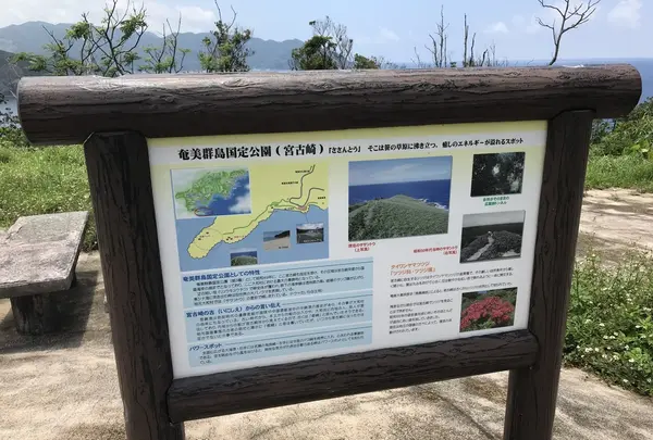 宮古崎の写真・動画_image_212098