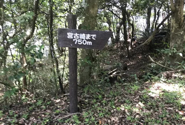 宮古崎の写真・動画_image_212101