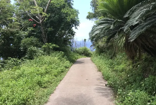 宮古崎の写真・動画_image_212102