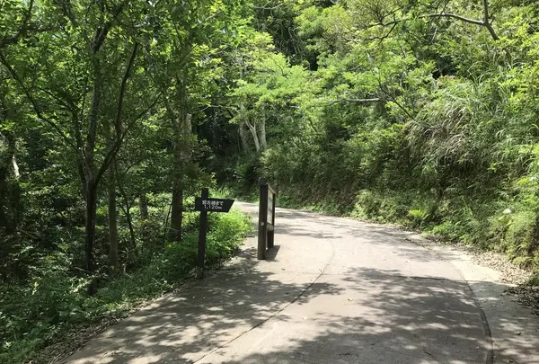 宮古崎の写真・動画_image_212103