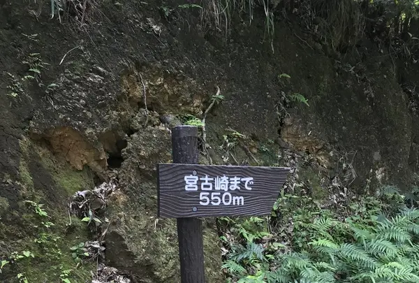 宮古崎の写真・動画_image_212104