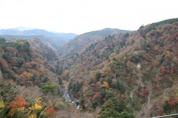 九重“夢”大吊橋の写真・動画_image_212295
