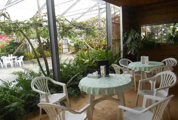 ユートピアファーム宮古島の写真・動画_image_212378