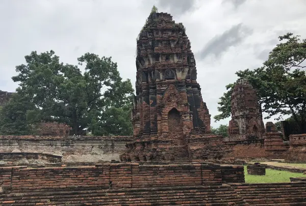 Wat Mahathat（ワット・マハタート）の写真・動画_image_212433