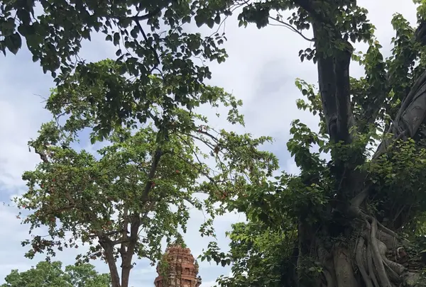 Wat Mahathat（ワット・マハタート）の写真・動画_image_212435
