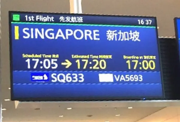 シンガポール・チャンギ国際空港（Singapore Changi International Airport）の写真・動画_image_212513
