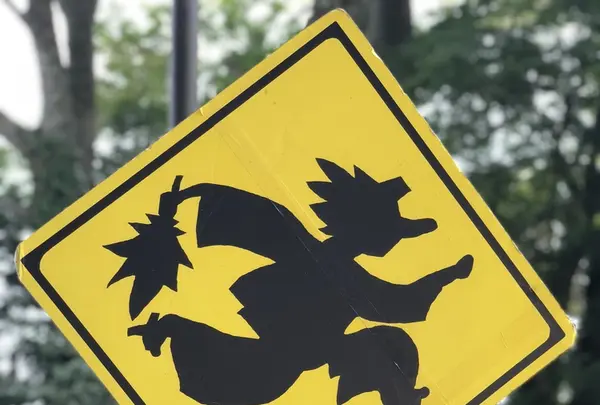 高尾山の写真・動画_image_212565