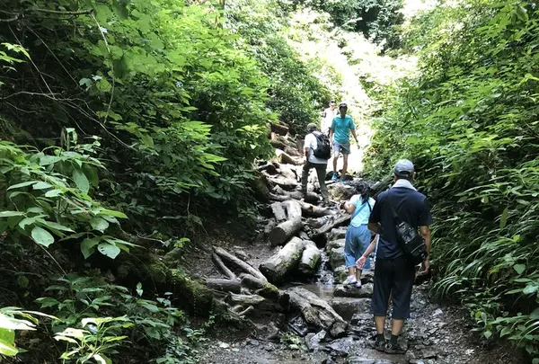 高尾山の写真・動画_image_212569