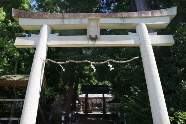 知井八幡神社の写真・動画_image_212577
