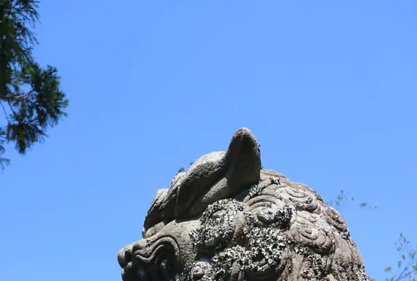 諏訪神社の写真・動画_image_212613