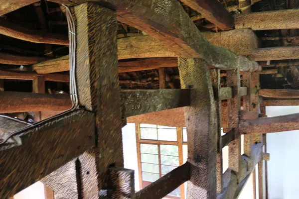 脱皮する家の写真・動画_image_212664