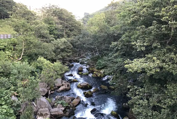 熊の湯の写真・動画_image_212707