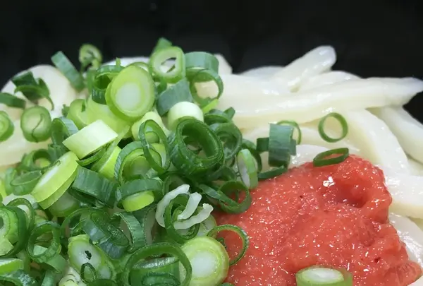 さか枝うどん 南新町店の写真・動画_image_212748