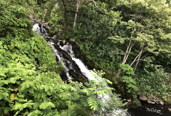 三段の滝の写真・動画_image_212779