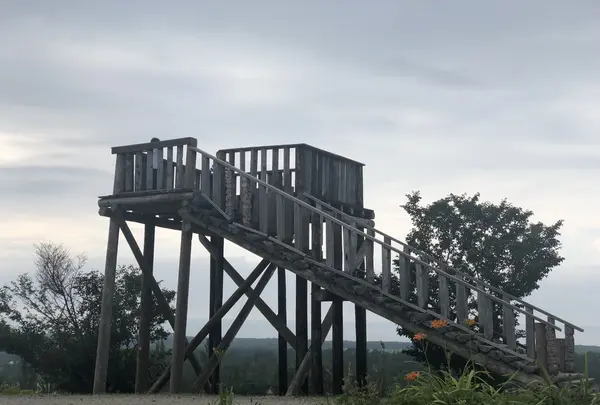 天に続く道の写真・動画_image_212785