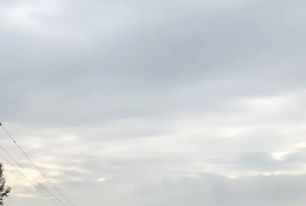 天に続く道の写真・動画_image_212786