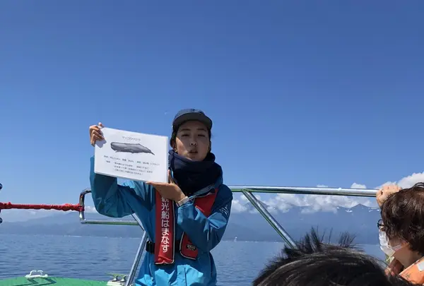 観光船・民宿はまなすの写真・動画_image_212829