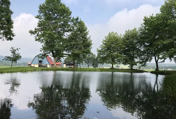 ふもとっぱらの写真・動画_image_212870