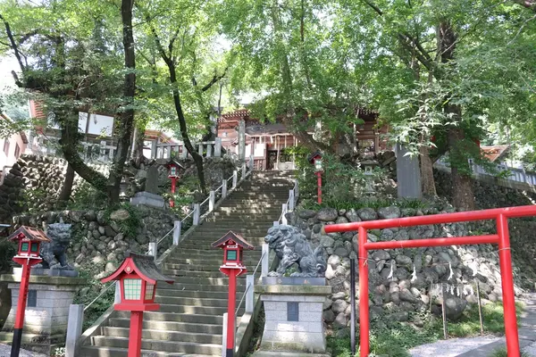 山名八幡宮の写真・動画_image_212929