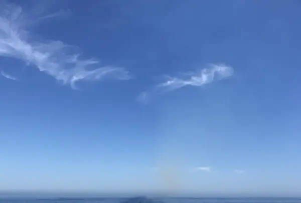 新日本海フェリー 舞鶴港 フェリーターミナルの写真・動画_image_212940