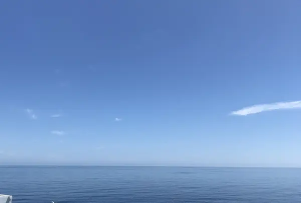 新日本海フェリー 舞鶴港 フェリーターミナルの写真・動画_image_212941