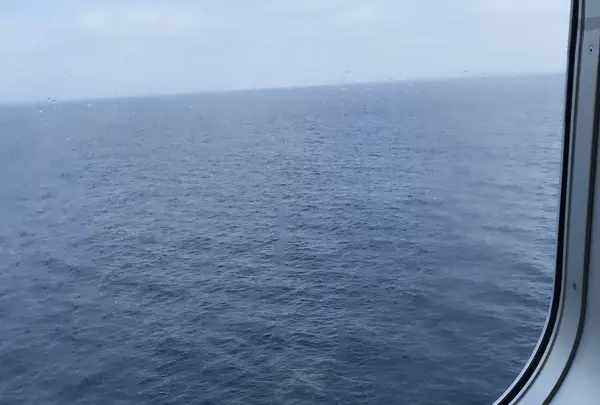 新日本海フェリー 舞鶴港 フェリーターミナルの写真・動画_image_212942
