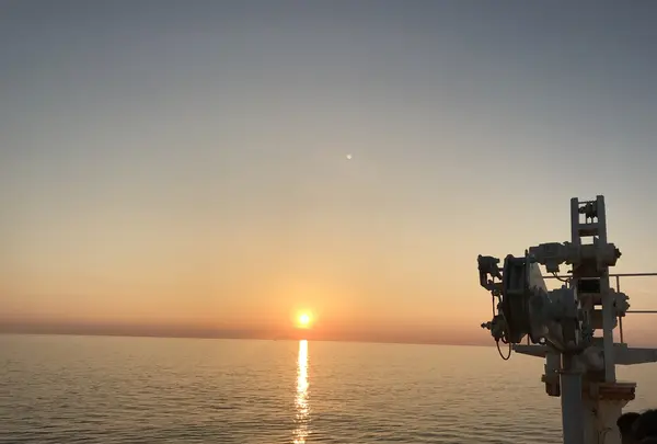 新日本海フェリー 舞鶴港 フェリーターミナルの写真・動画_image_212947