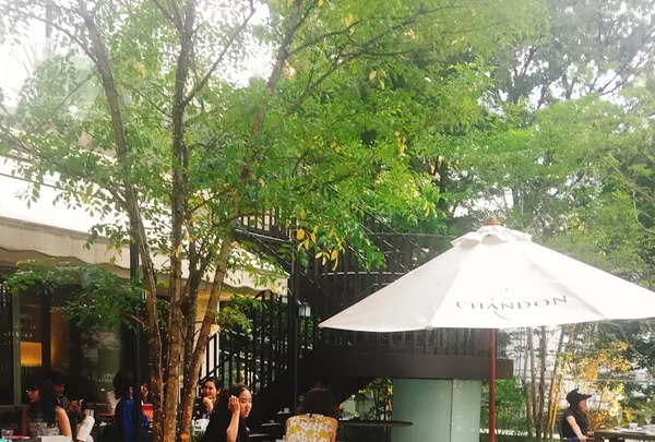 347CAFE&LOUNGE(サンヨンナナカフェアンドラウンジ)の写真・動画_image_213101