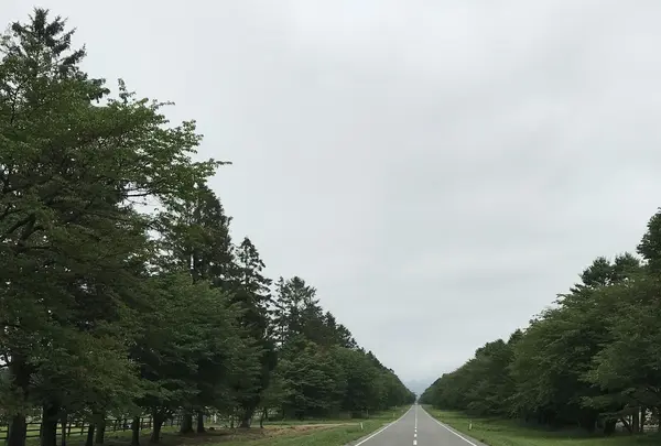 日高町の写真・動画_image_213196