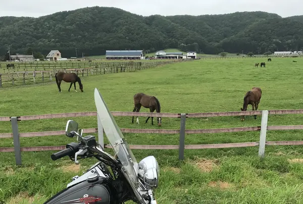 日高町の写真・動画_image_213203