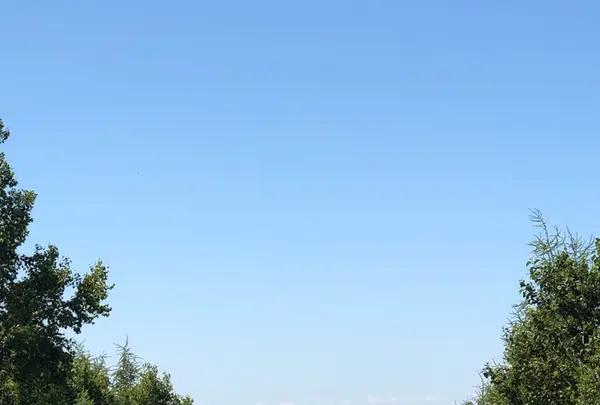 天に続く道の写真・動画_image_213254