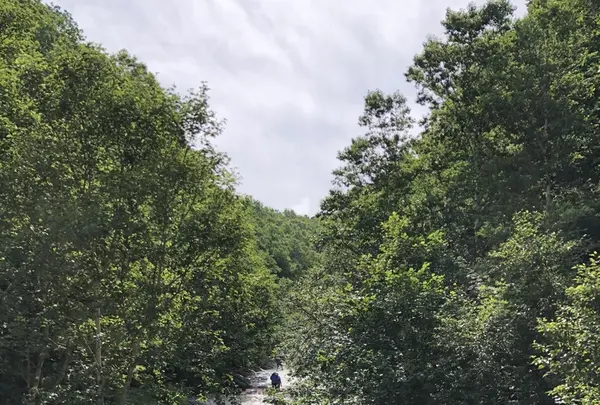 カムイワッカの湯の滝の写真・動画_image_213262