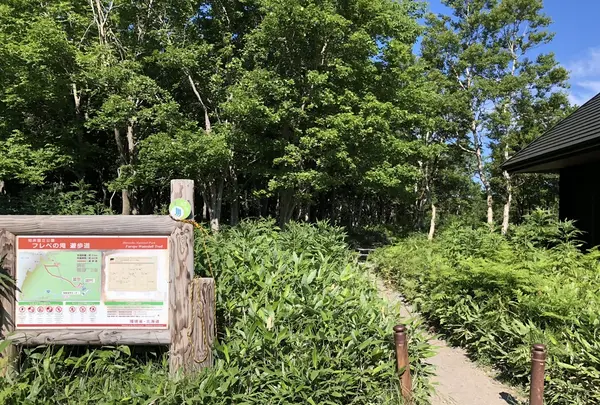 フレペの滝の写真・動画_image_213270