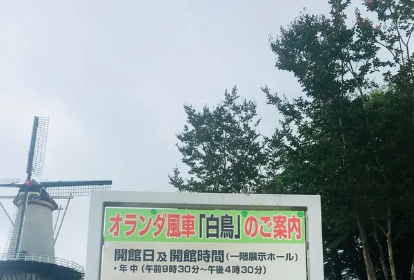 登米町森林公園（オートキャンプ場）の写真・動画_image_213333