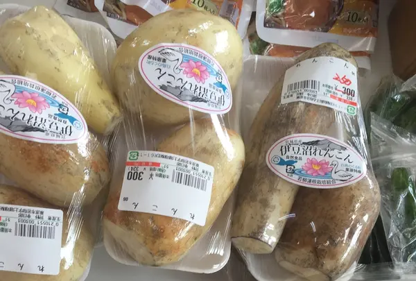 登米町森林公園（オートキャンプ場）の写真・動画_image_213340