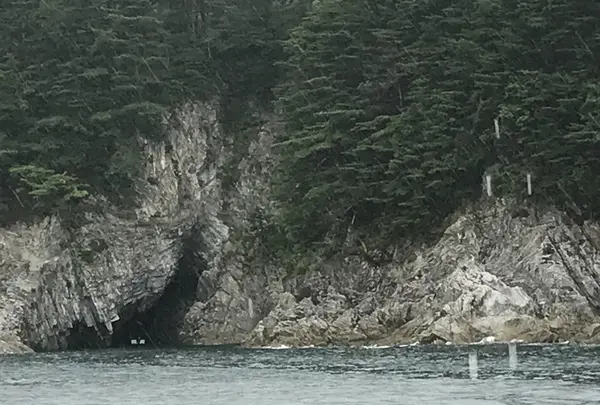 浄土ヶ浜の写真・動画_image_213404