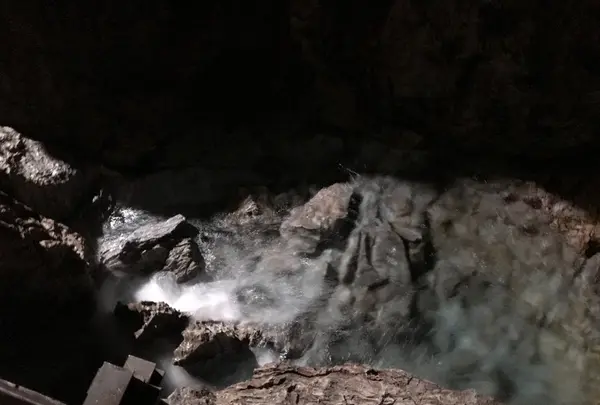 龍泉洞の写真・動画_image_213407