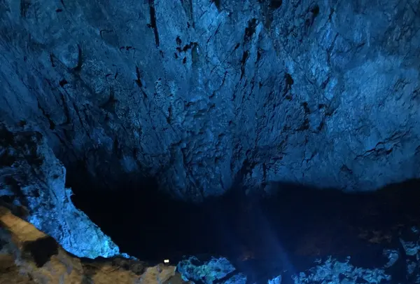 龍泉洞の写真・動画_image_213409