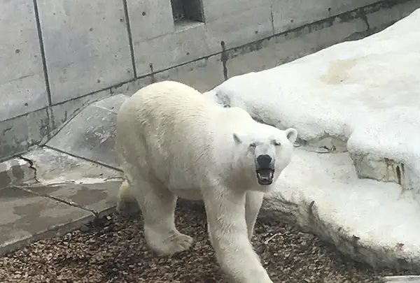 男鹿水族館GAOの写真・動画_image_213416