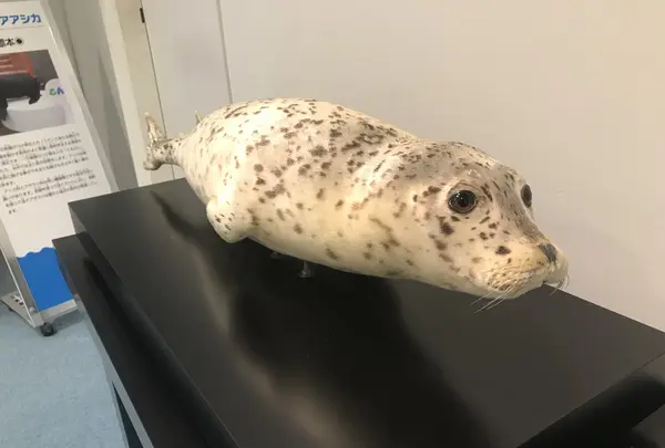 男鹿水族館GAOの写真・動画_image_213420