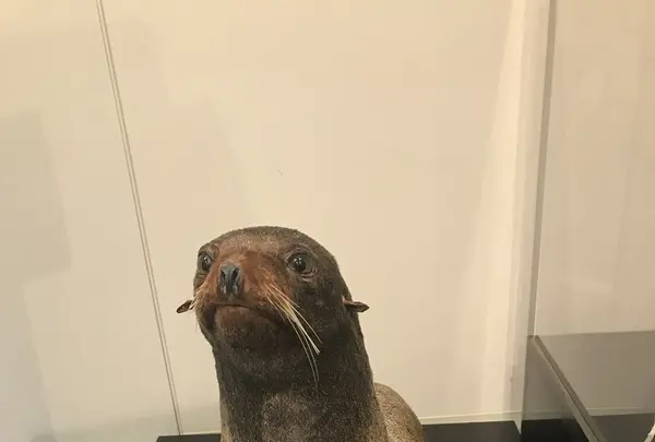男鹿水族館GAOの写真・動画_image_213422
