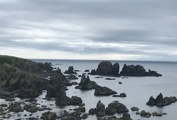 入道崎の写真・動画_image_213426