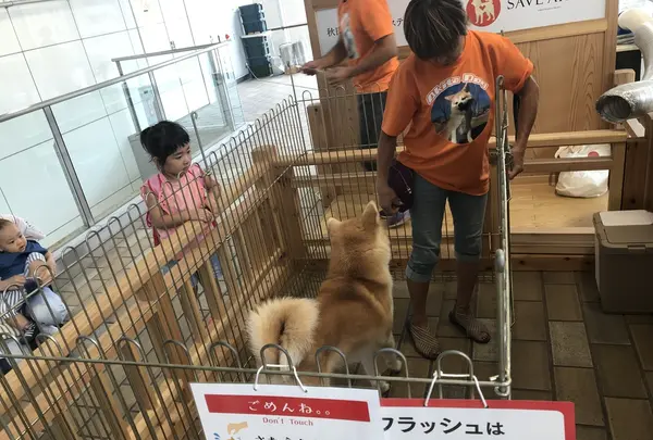 秋田駅の写真・動画_image_213438