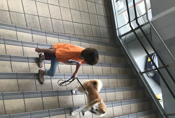 秋田駅の写真・動画_image_213439