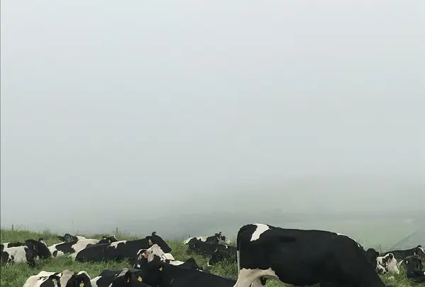 音更町の写真・動画_image_213553
