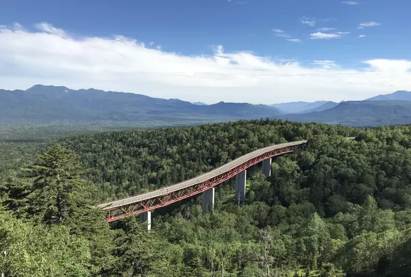 音更町の写真・動画_image_213562