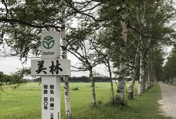 音更町の写真・動画_image_213564