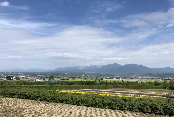 ファーム富田の写真・動画_image_213732