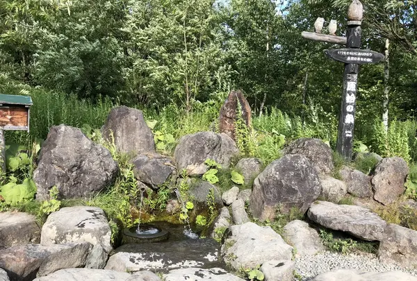 原始の泉の写真・動画_image_213735