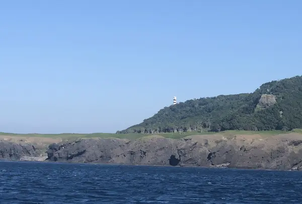 ゴジラ岩観光の写真・動画_image_213815
